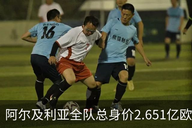 阿尔及利亚全队总身价2.651亿欧，26名球员中马扎的4500万欧最高