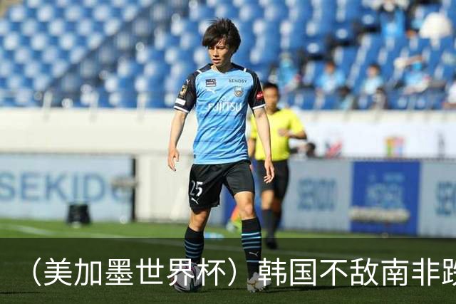 （美加墨世界杯）韩国不敌南非跌至小组第三 出线前景待定